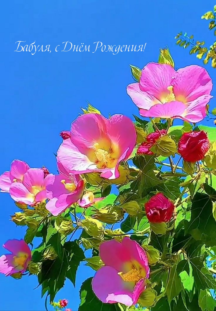 Бабуля, с Днём Рождения!