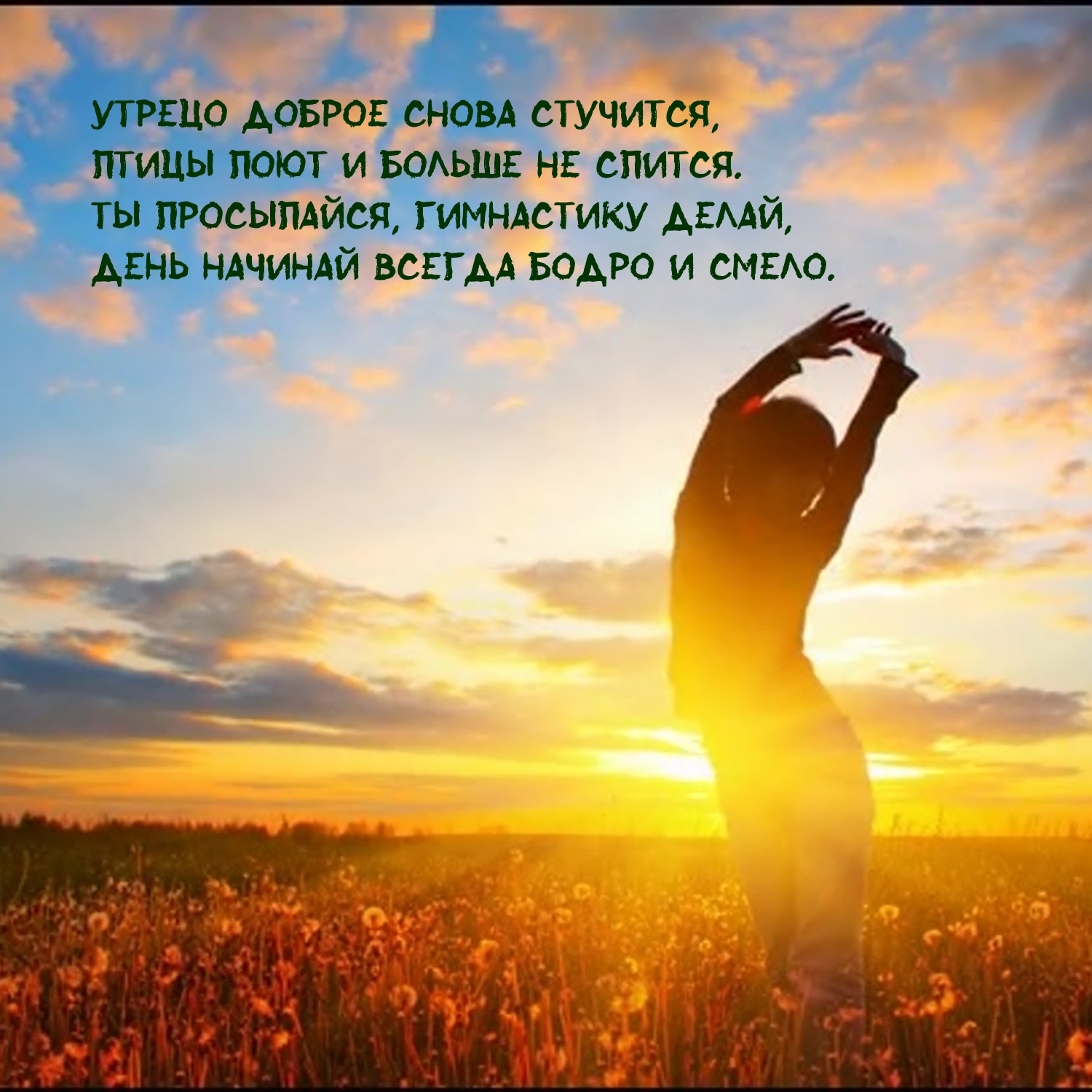 Утрецо доброе снова стучится, птицы поют и больше не спится.