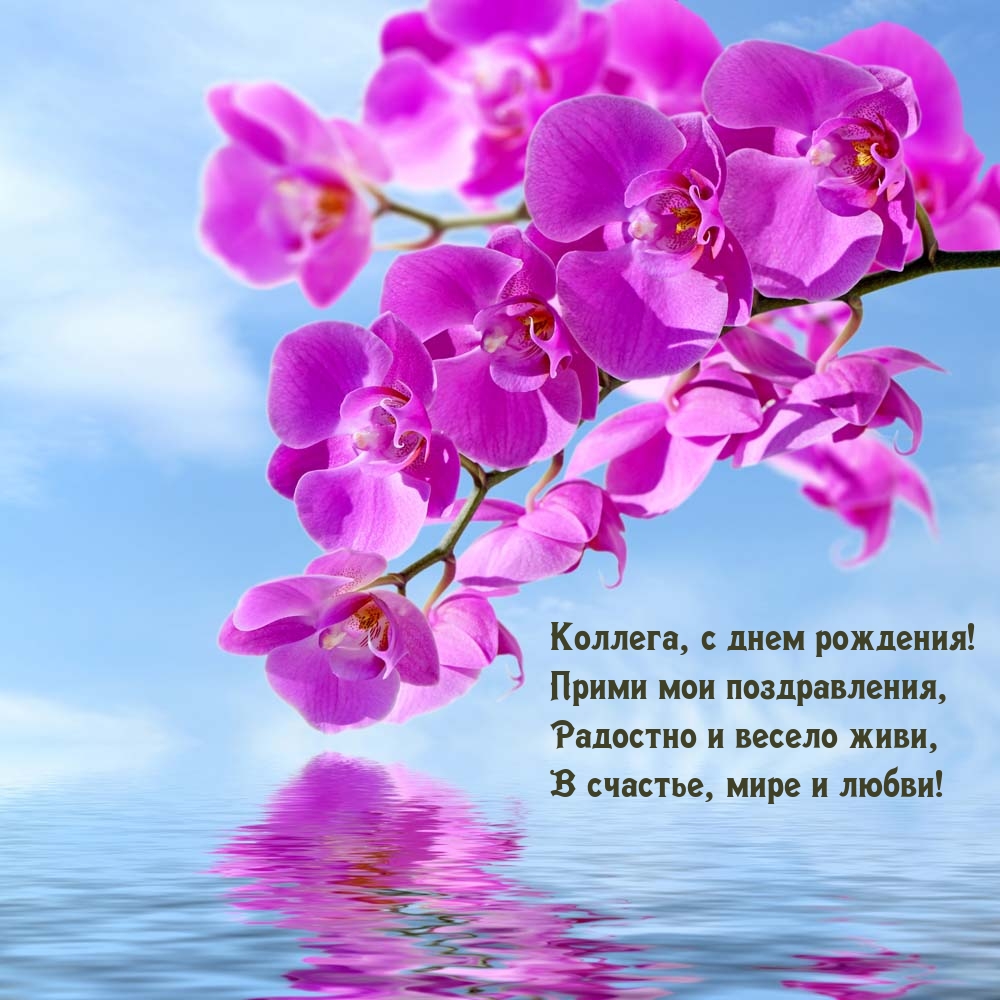 Коллега, с днем рождения! Прими мои поздравления