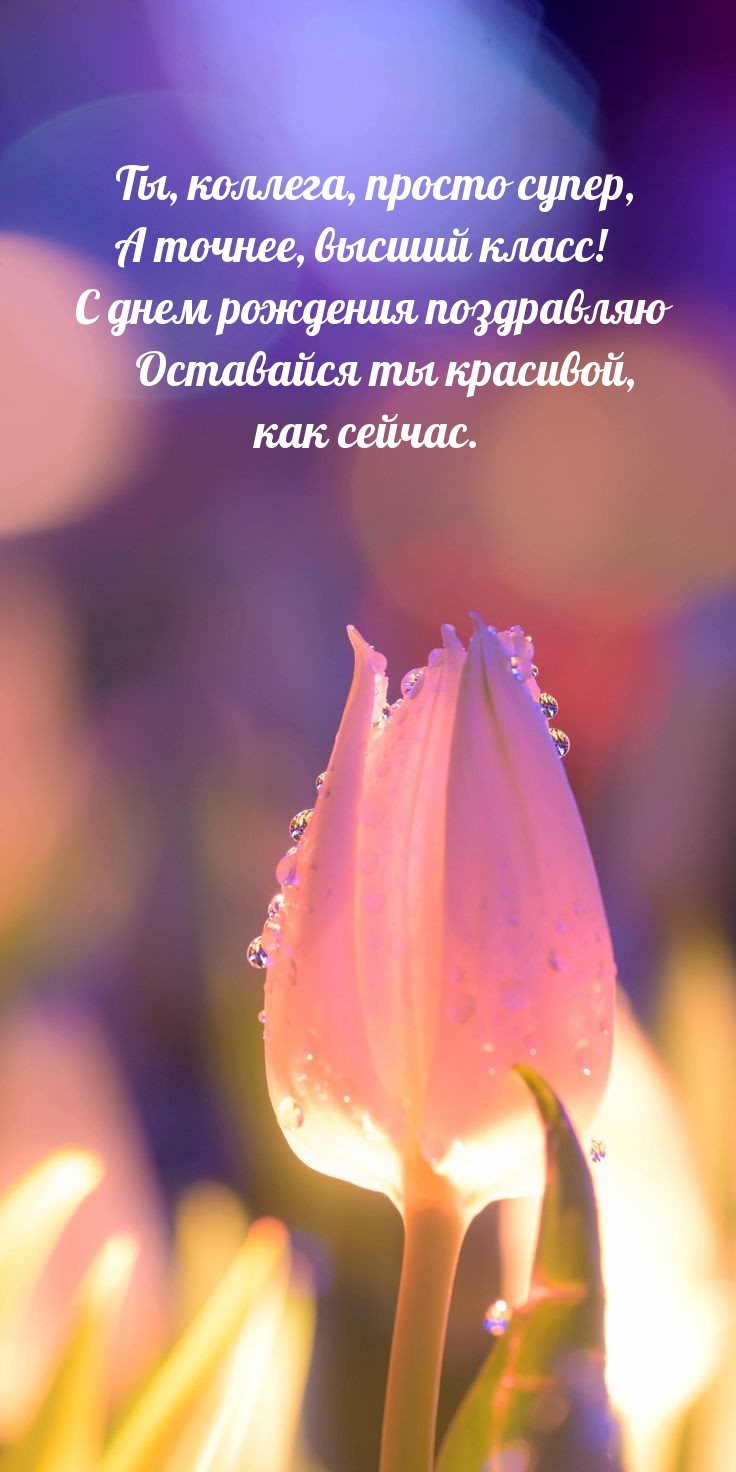 Ты, коллега, просто супер, а точнее, высший класс!