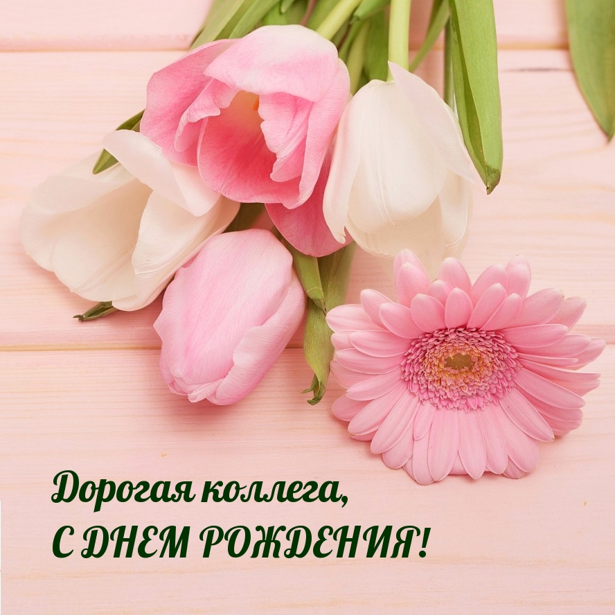 Дорогая коллега, с днем рождения!