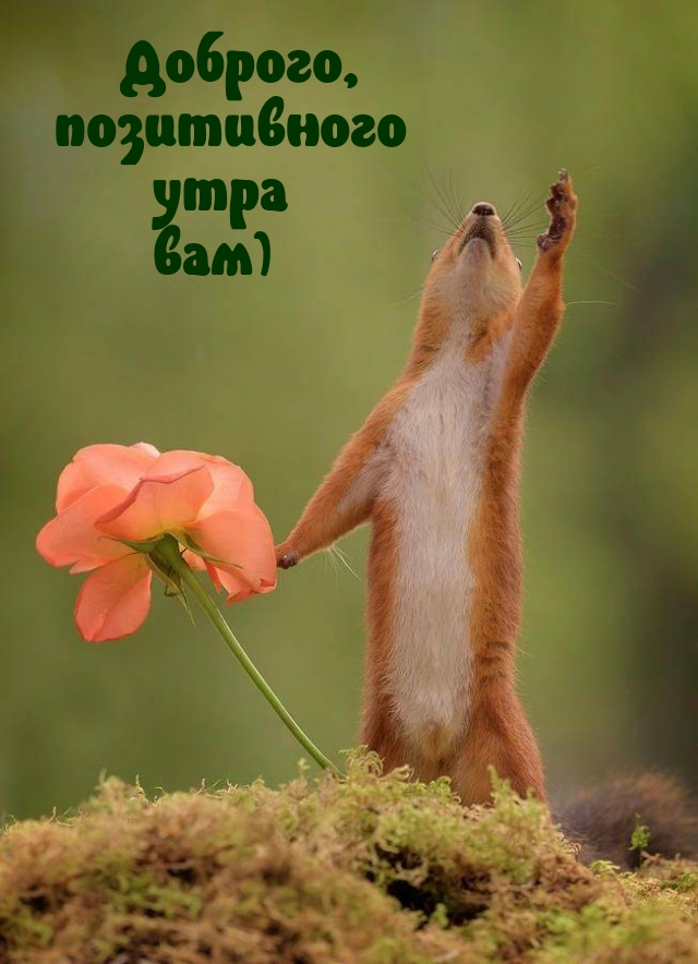 Доброго, позитивного утра вам)
