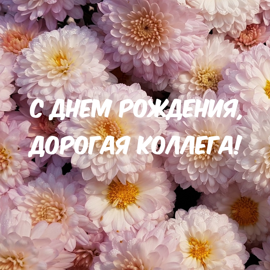 С днем рождения, дорогая коллега!