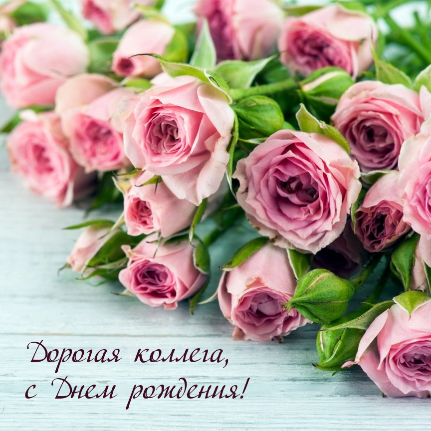 Дорогая коллега, с Днем рождения!