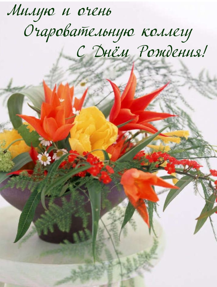 Милую и очень очаровательную коллегу С Днём Рождения!