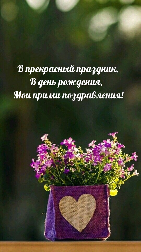 В прекрасный праздник, в день рождения, мои прими поздравления!