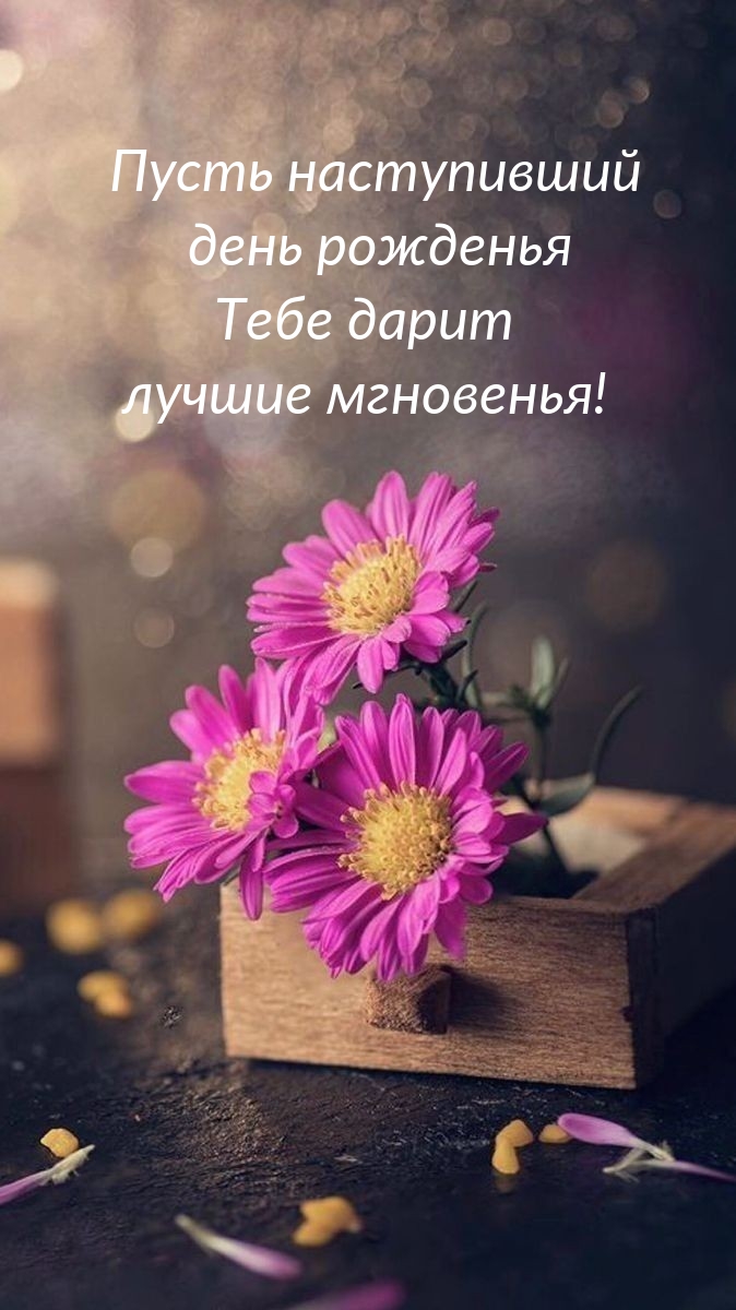 Пусть наступивший день рожденья дарит лучшие мгновенья!