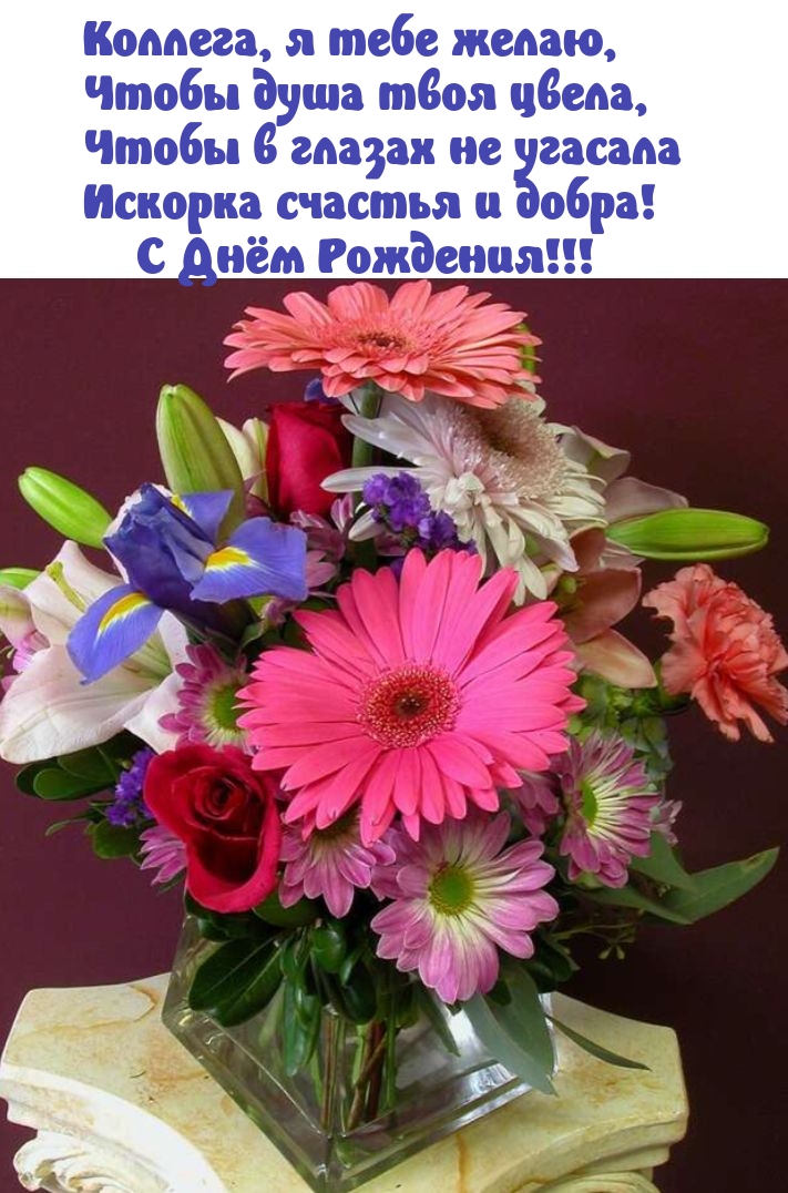 Коллега, я тебе желаю, чтобы душа твоя цвела С Днём Рождения!