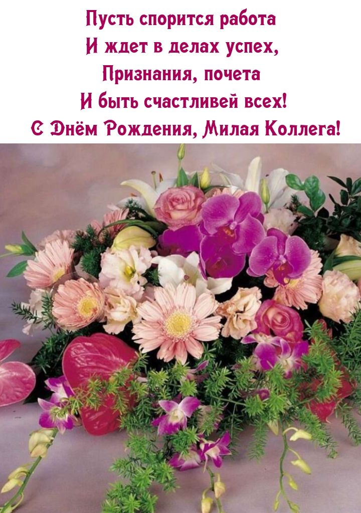 С Днём Рождения, милая Коллега!     