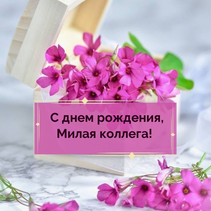 С днем рождения, Милая коллега!