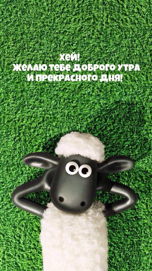 Хей! Желаю тебе доброго утра и прекрасного дня!