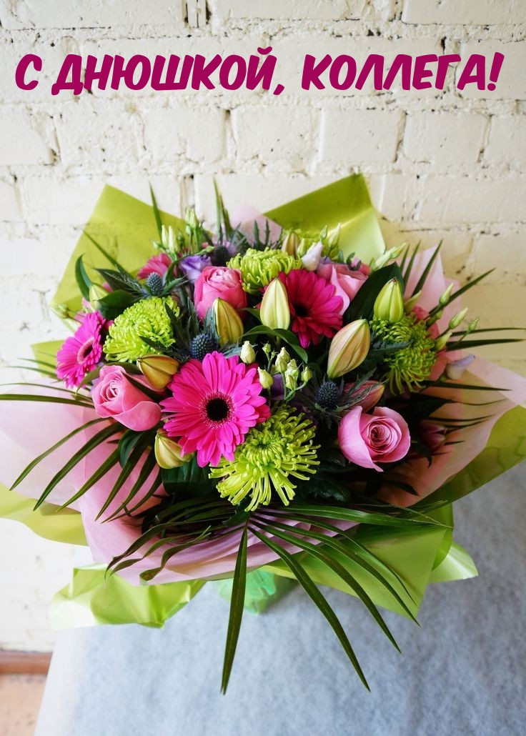 С днюшкой, коллега!