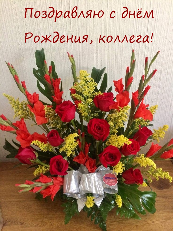 Поздравляю с днём Рождения, коллега! 