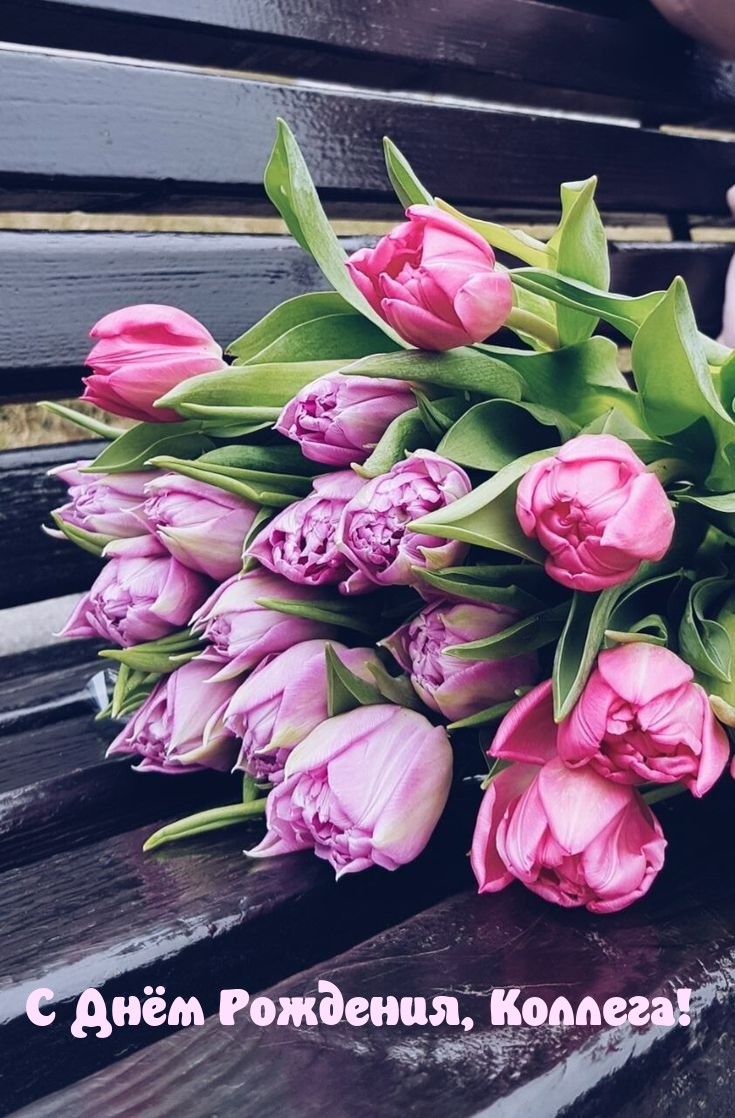 С Днём Рождения, Коллега!