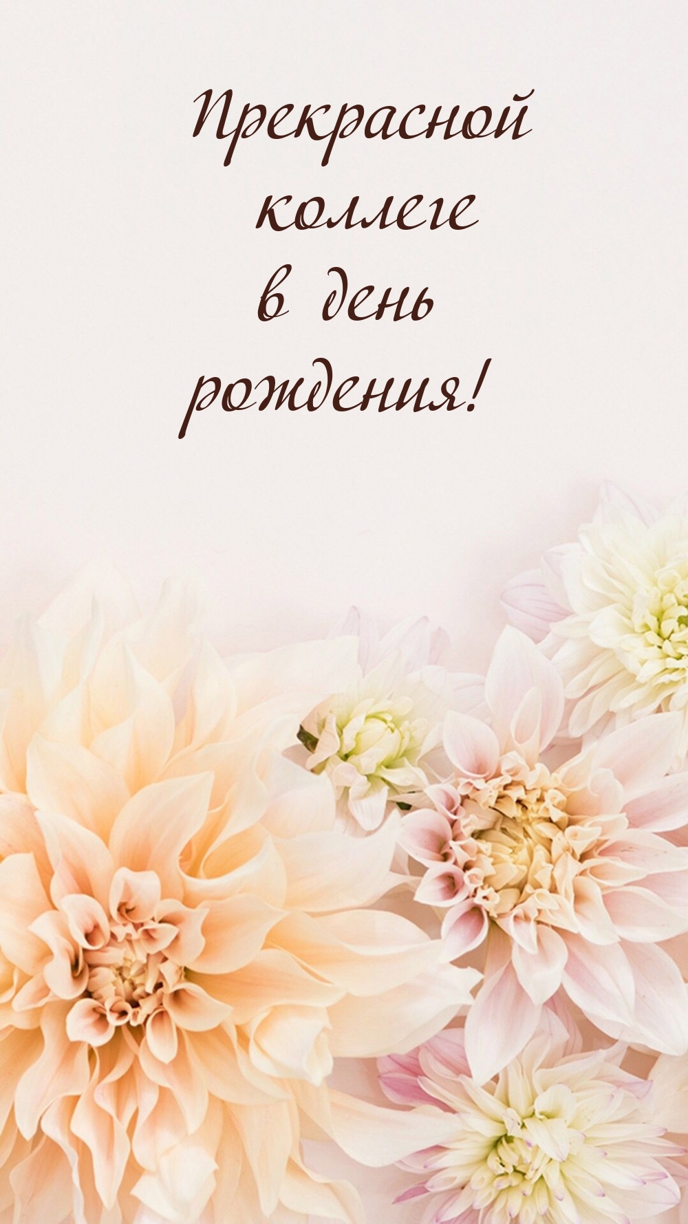 Прекрасной коллеге в день рождения!