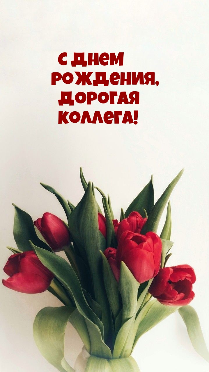 С днем рождения, дорогая коллега!