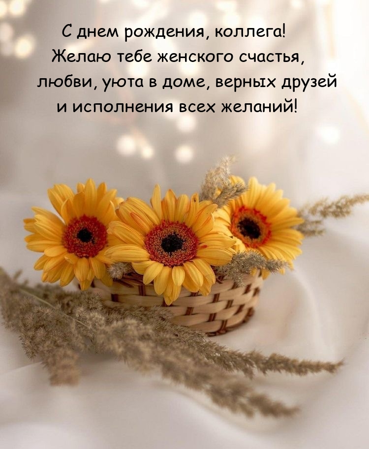 С днем рождения, коллега! Желаю тебе женского счастья