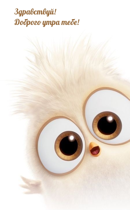 Здравствуй! Доброго утра тебе!