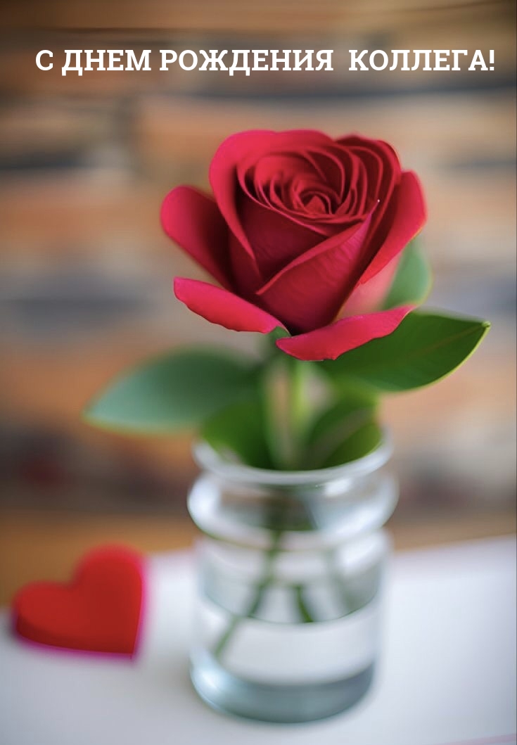 С днем рождения коллега!