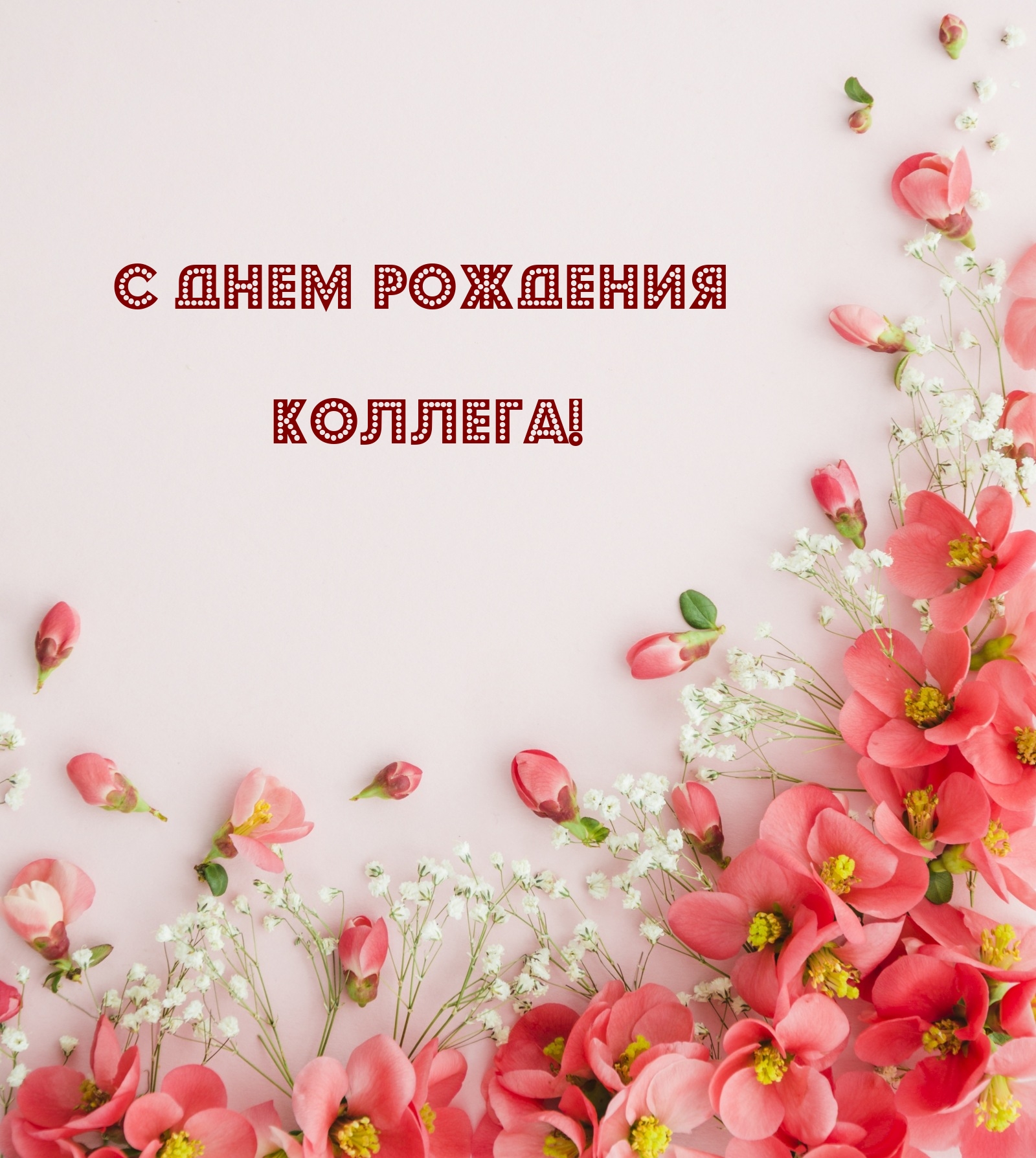 С днем рождения коллега!