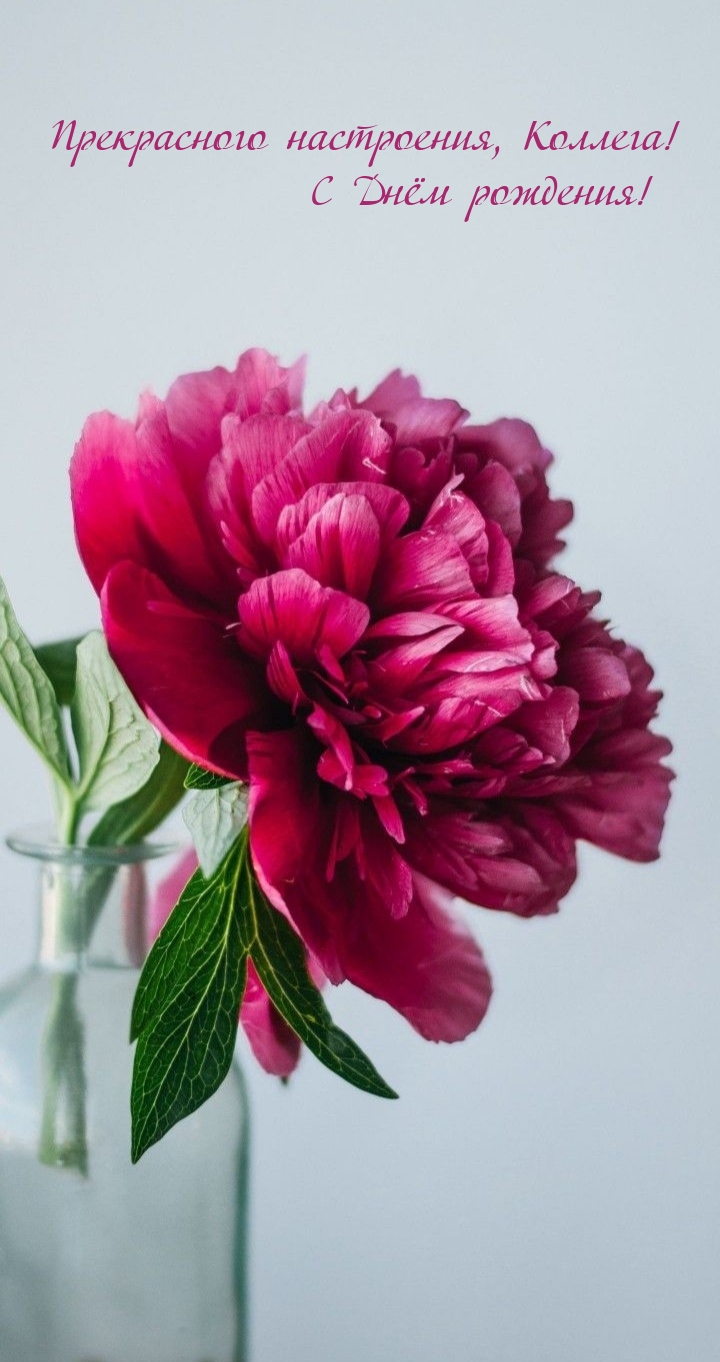 Прекрасного настроения, Коллега! С Днём рождения! 