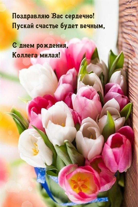 С днем рождения, Коллега милая! Поздравляю Вас сердечно!