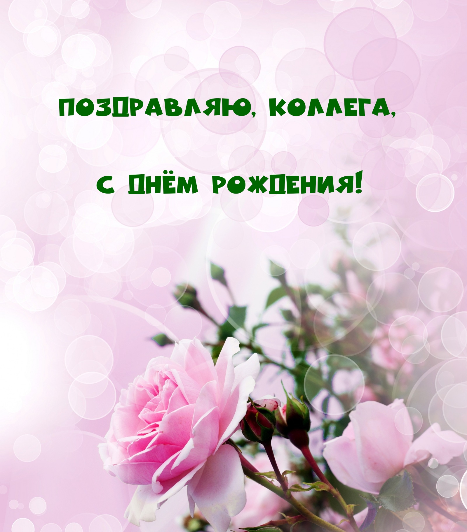 Поздравляю, коллега, с днём рождения!