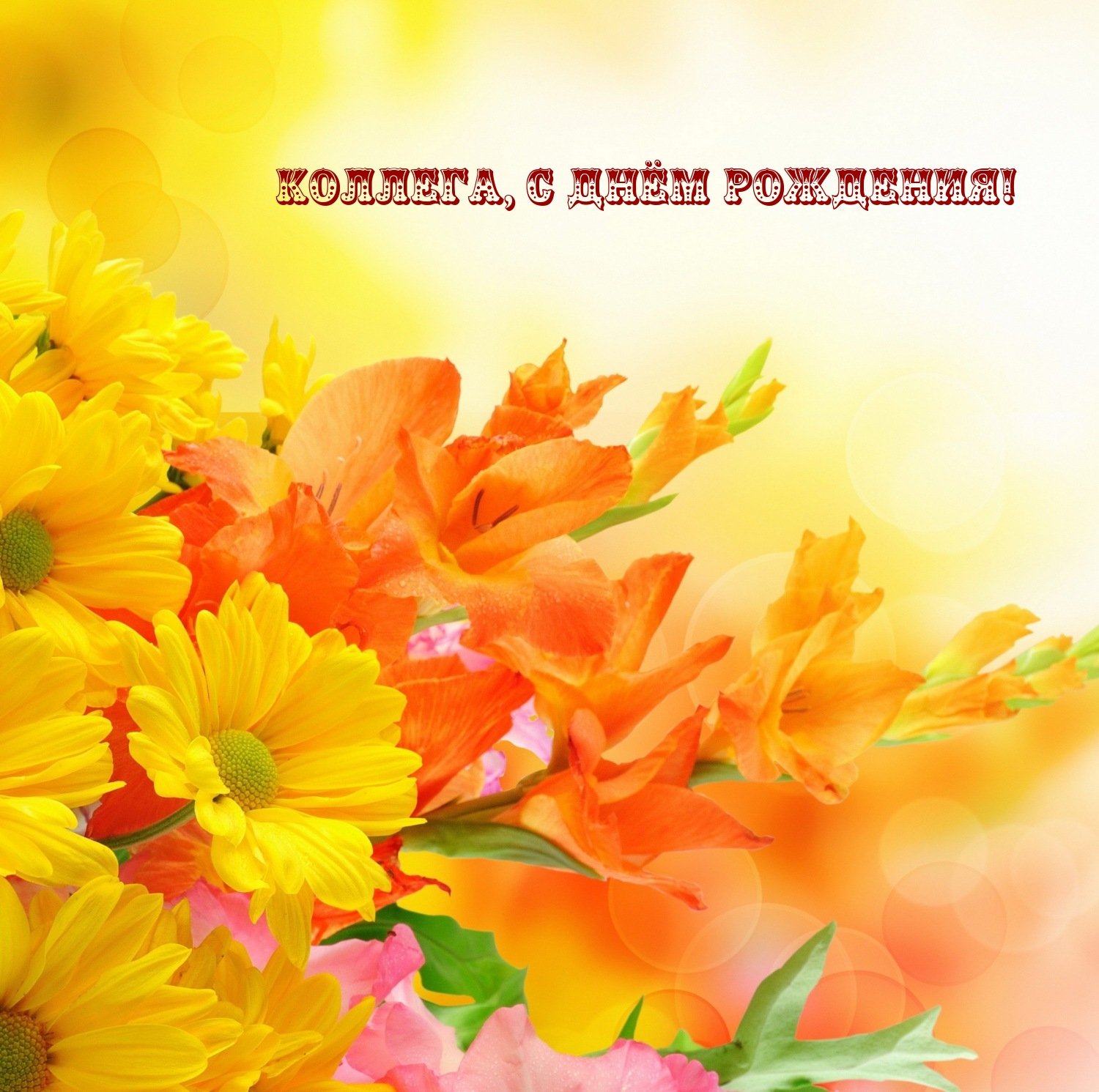 Коллега, с днём рождения!