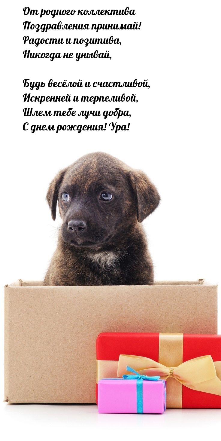 От родного коллектива поздравления принимай! С днем рождения! 