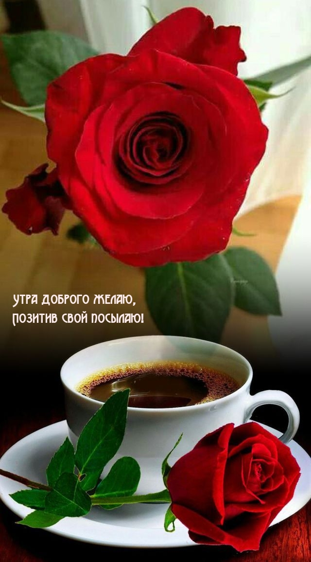 Утра доброго желаю, позитив свой посылаю!