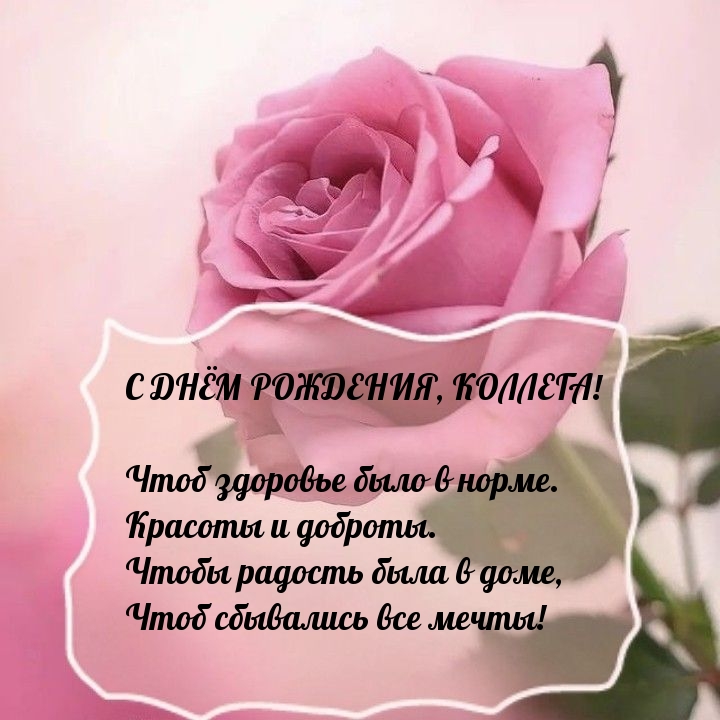 С днём рождения, коллега! Чтоб здоровье было в норме.