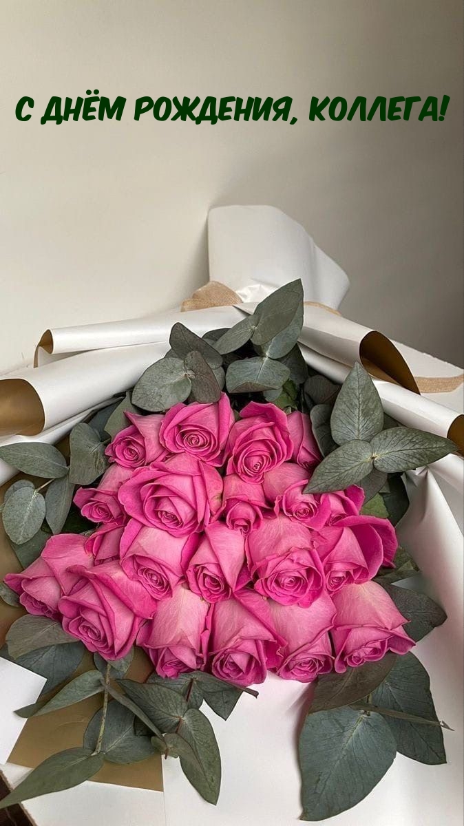 С днём рождения, коллега!