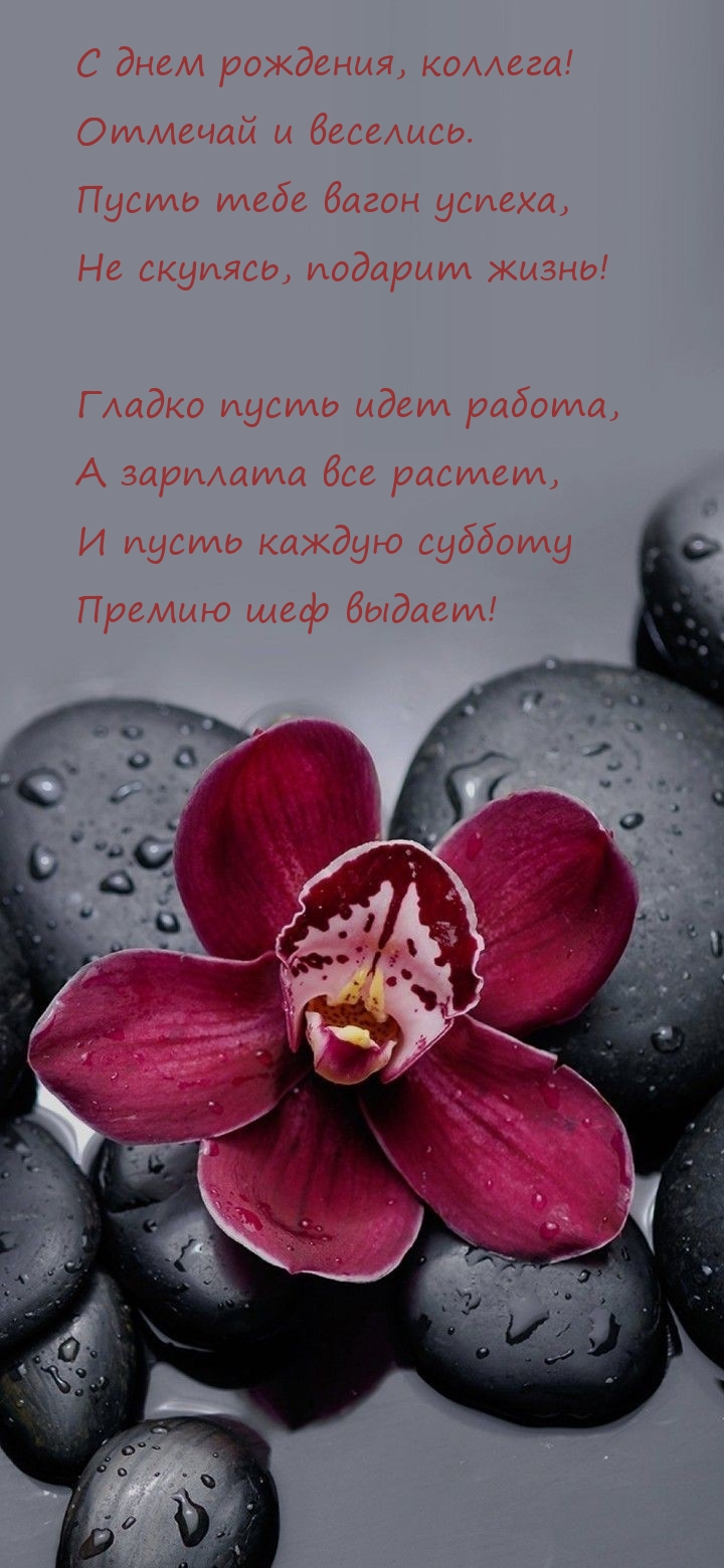 С днем рождения, коллега! Отмечай и веселись.