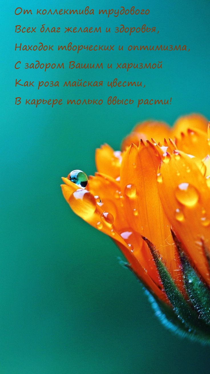От коллектива трудового всех благ желаем и здоровья