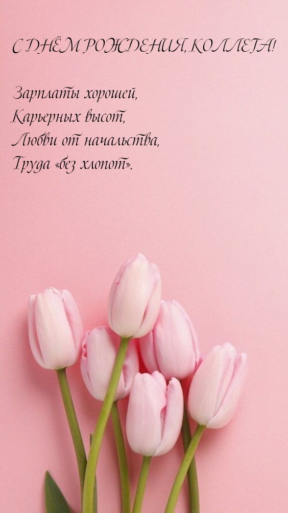 С Днём рождения, коллега! Зарплаты хорошей
