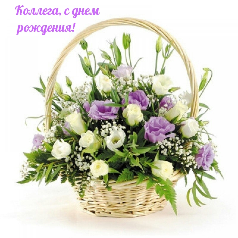 Коллега, с днем рождения!