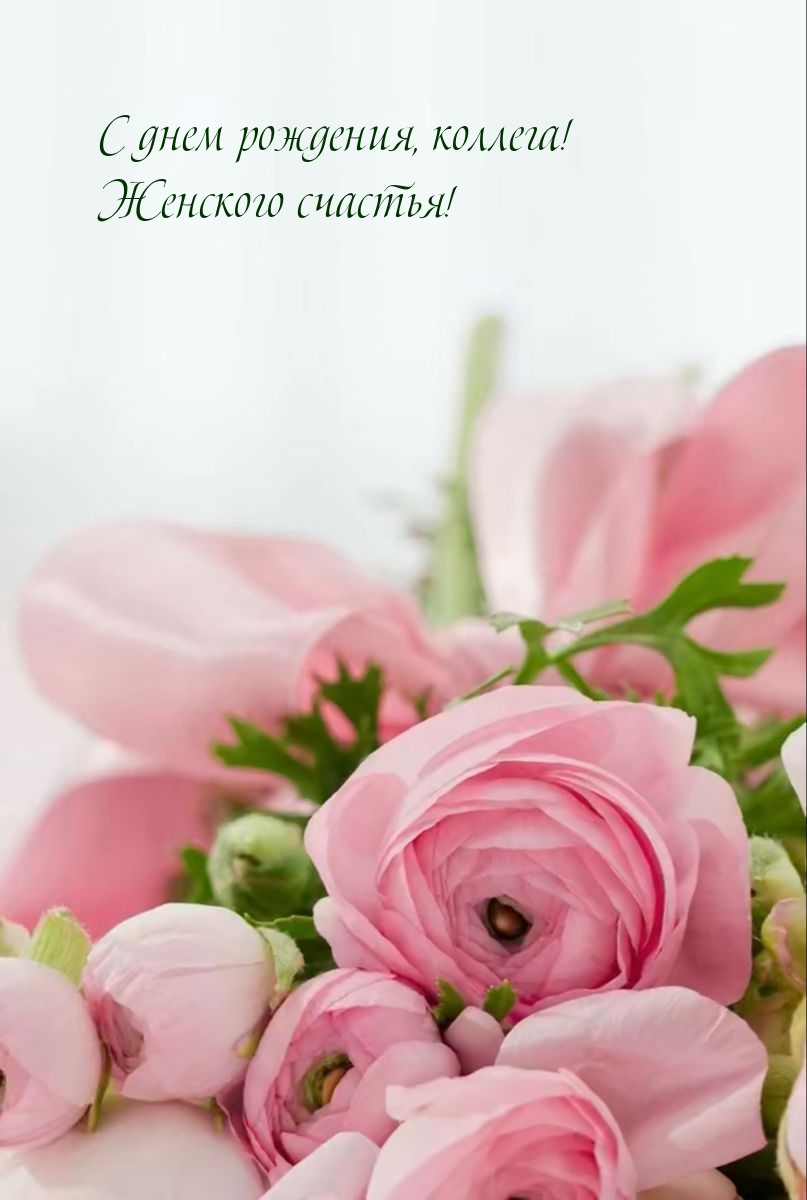 С днем рождения, коллега! Женского счастья!