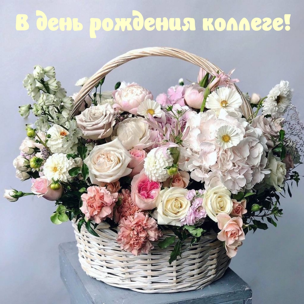 В день рождения коллеге!