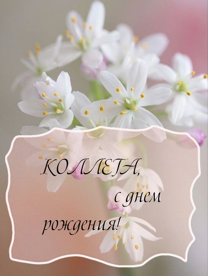 Коллега, с днем рождения!