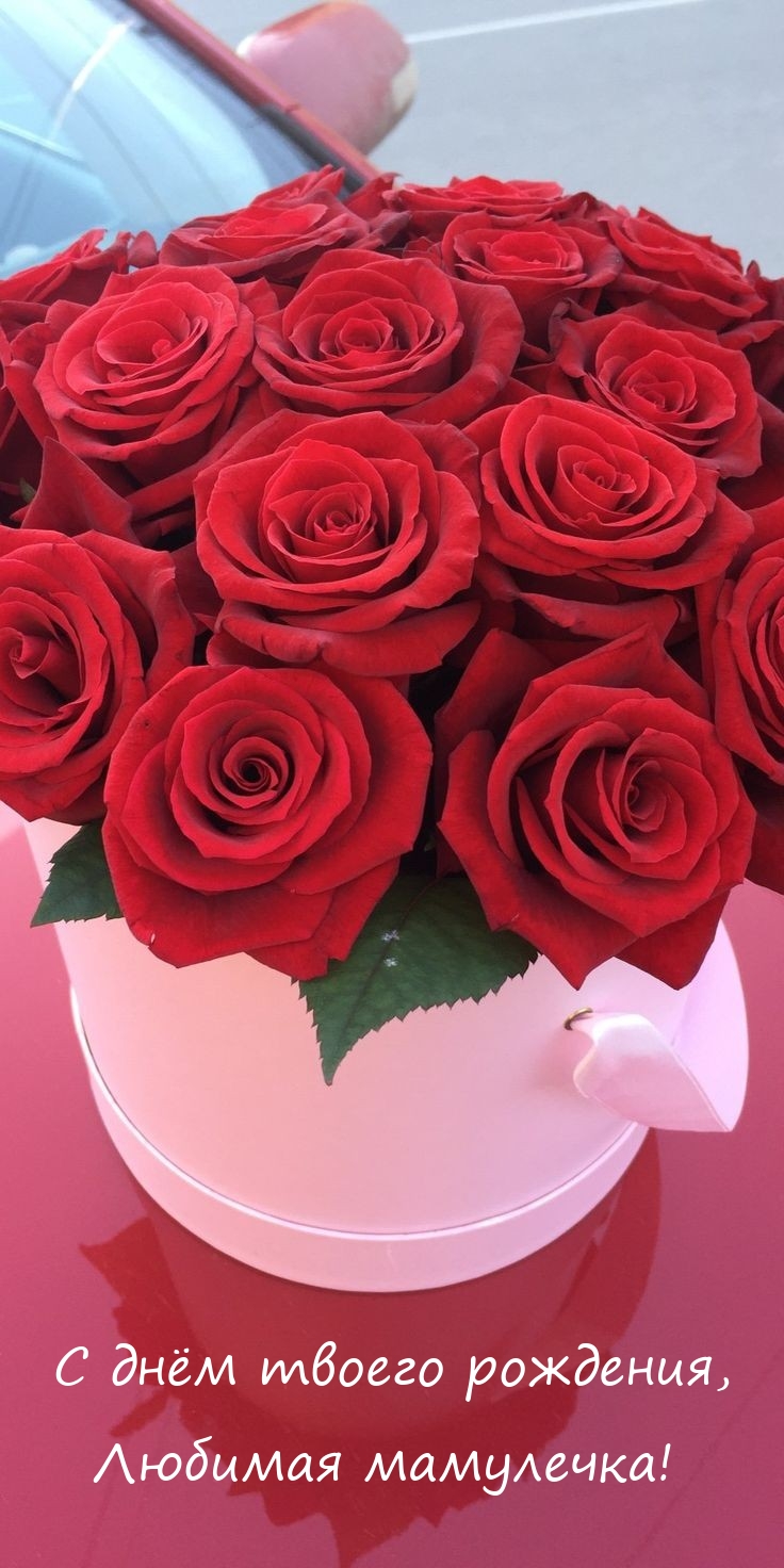 С днём твоего рождения, любимая мамулечка! 
