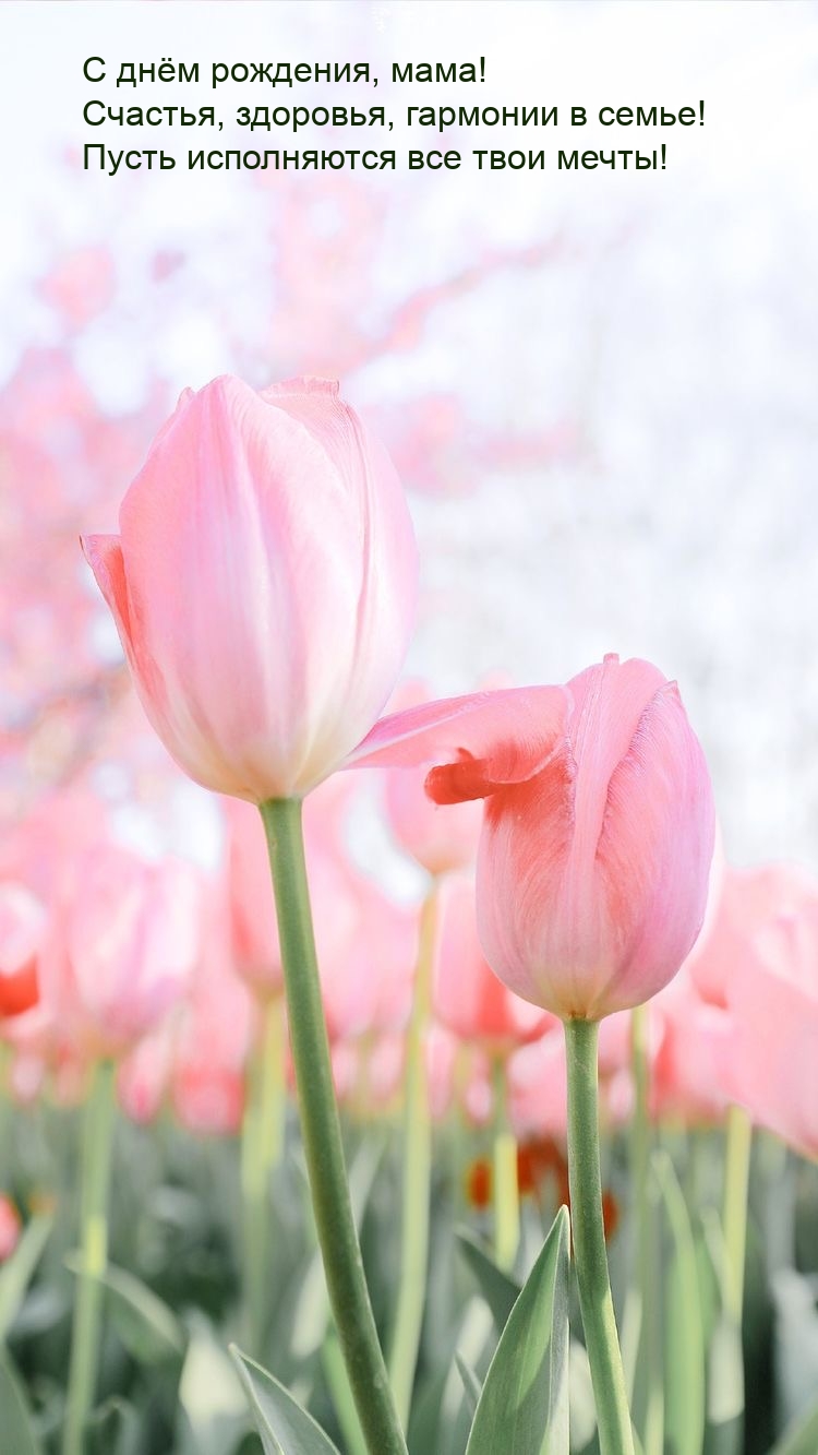 С днём рождения, мама! Счастья, здоровья, гармонии в семье!