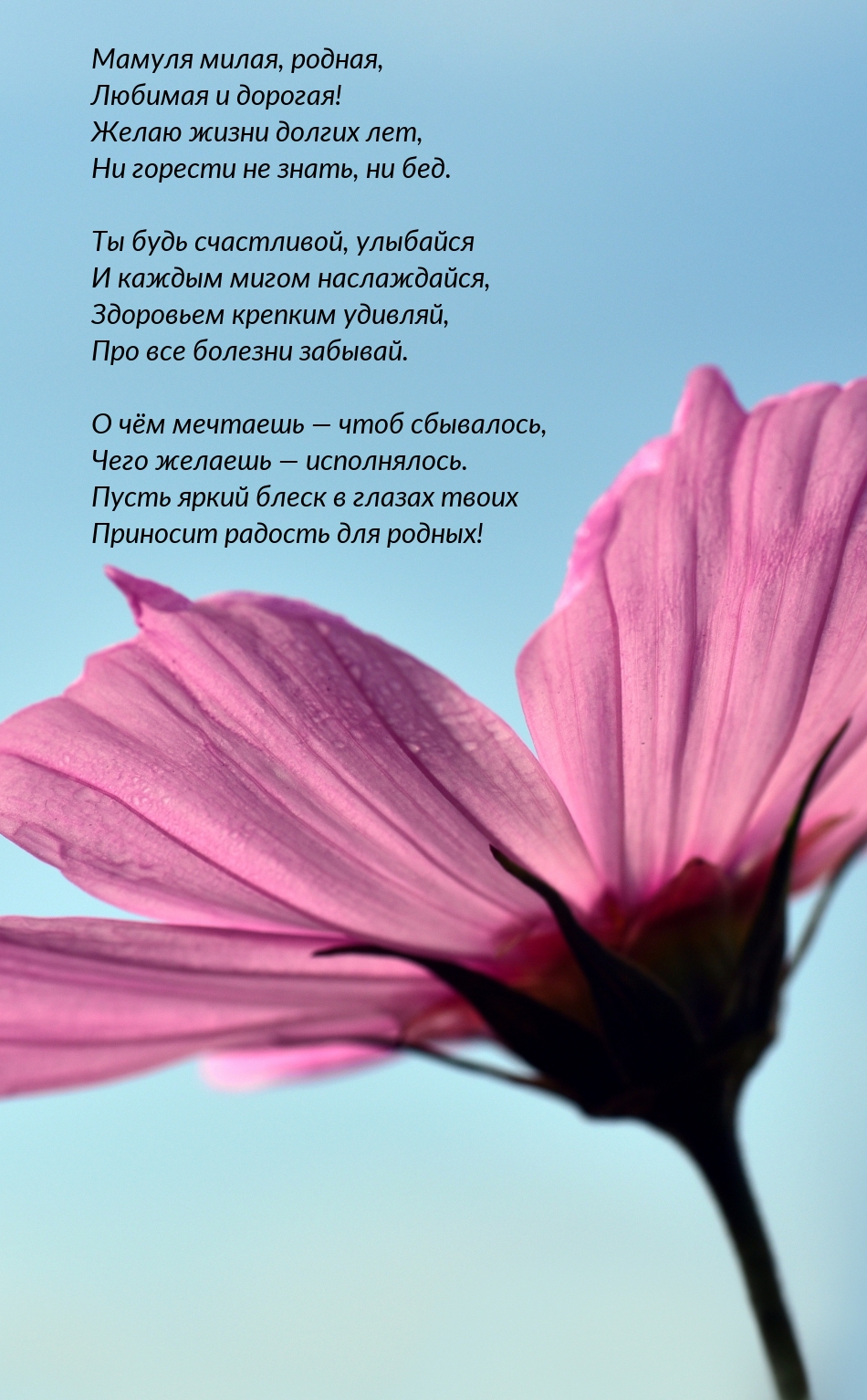 Мамуля милая, родная, любимая и дорогая! Желаю жизни долгих лет