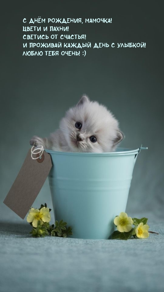 С Днём рождения, мамочка! Цвети и пахни!