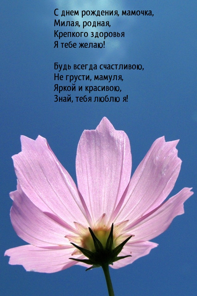 С днем рождения, мамочка, милая, родная, крепкого здоровья