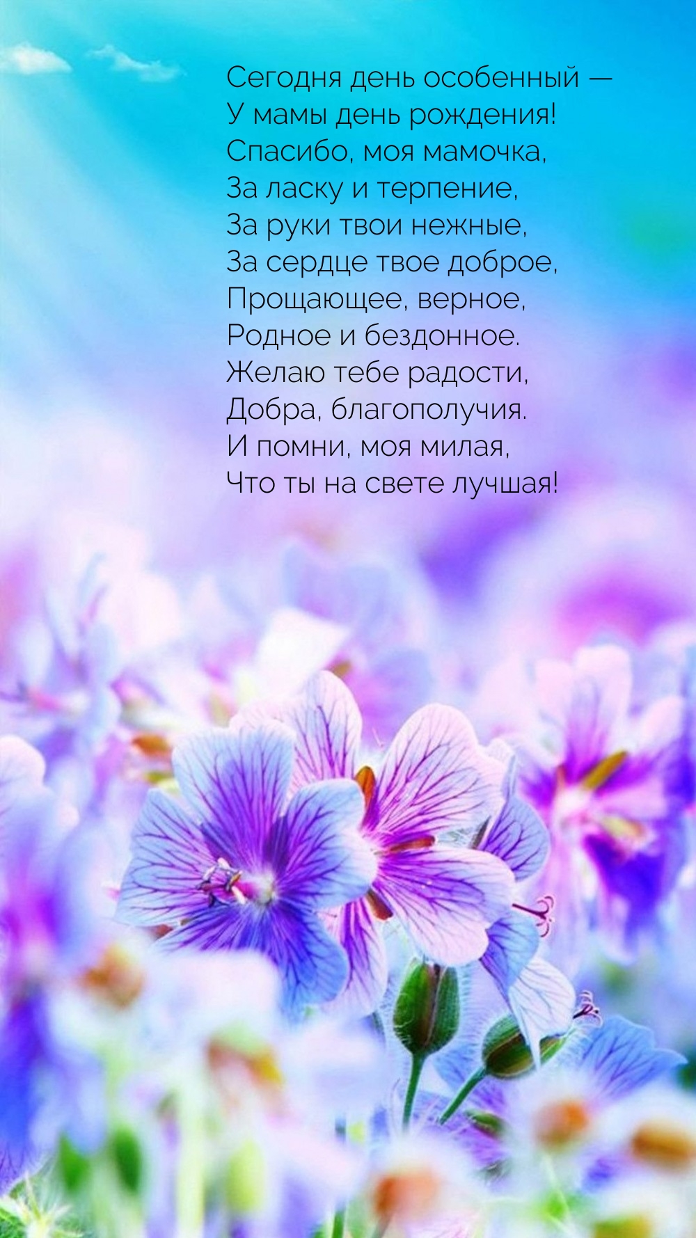 Сегодня день особенный — у мамы день рождения!