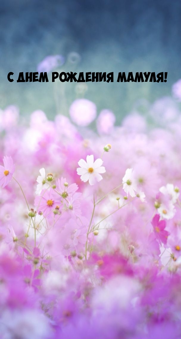 С Днем Рождения Мамуля!