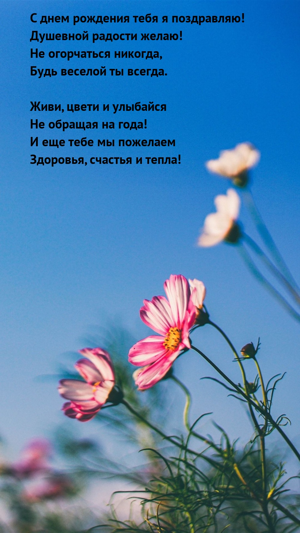 С днем рождения тебя я поздравляю! Душевной радости желаю!