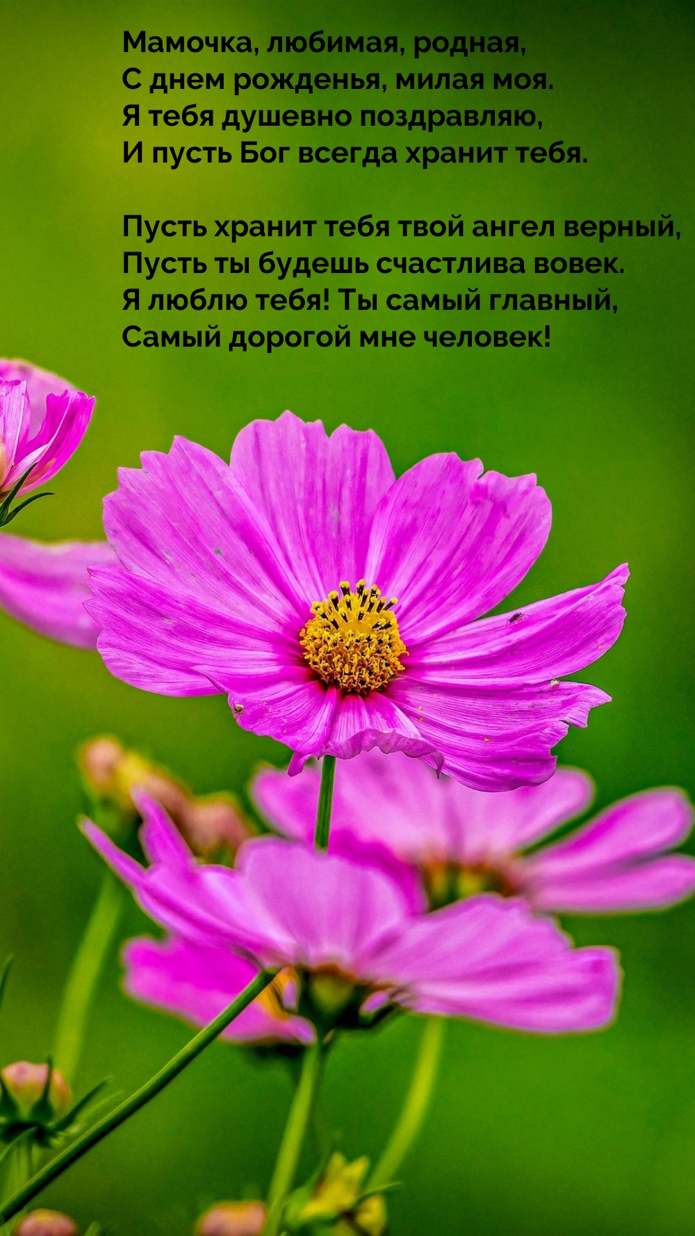 Мамочка, любимая, родная, с днем рожденья, милая моя.