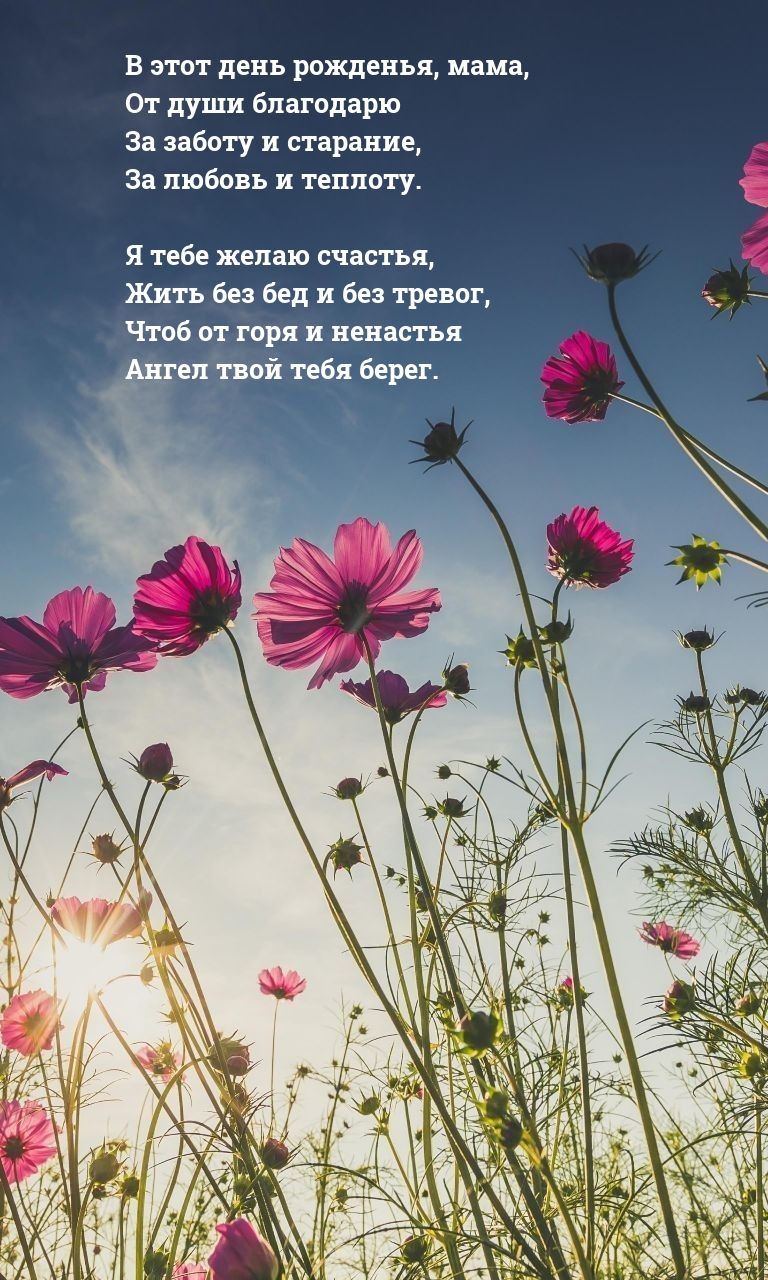 В этот день рожденья, мама, благодарю за заботу и старание