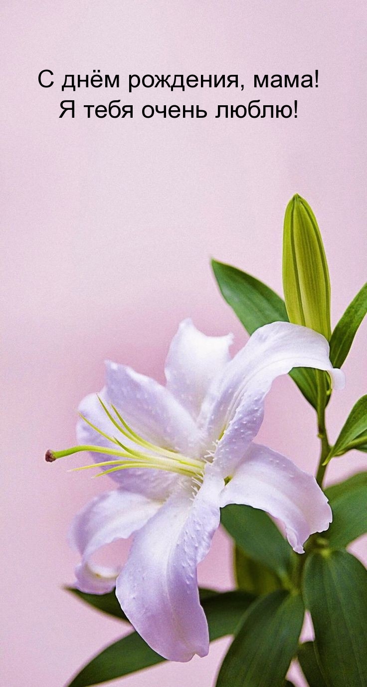 С днём рождения, мама! Я тебя очень люблю!
